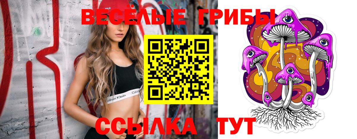 Вольск  Псилоцибиновые грибы мухоморы  Вход с VPN 