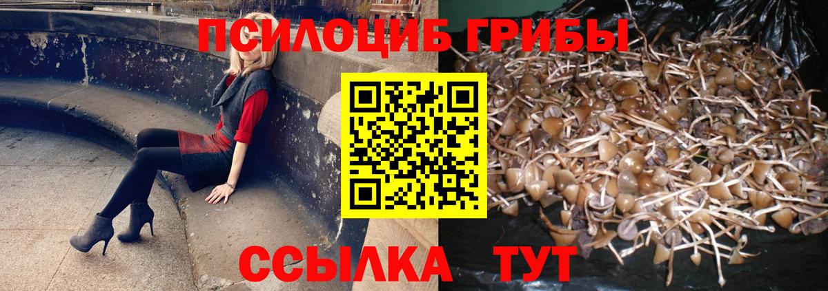Галлюциногенные грибы ЛСД Вольск